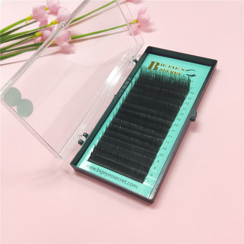 Promotions price Eye Lashes Ex - огляд і ціна Eyelash Extension For Big Eyes