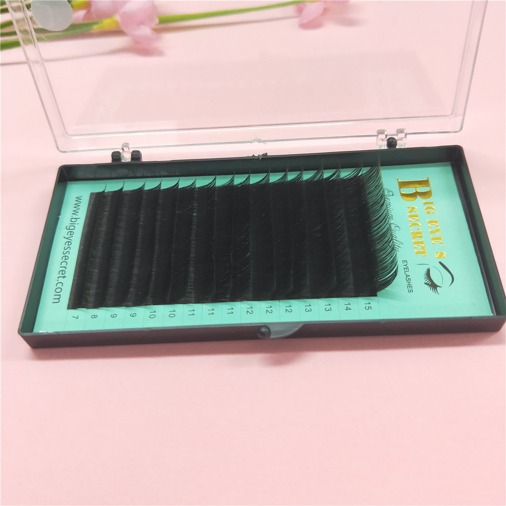 Promotions price Eye Lashes Ex - огляд і ціна Eyelash Extension For Big Eyes