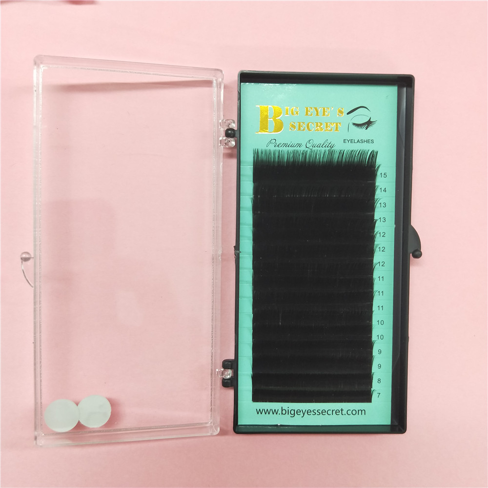 Promotions price Eye Lashes Ex - огляд і ціна Eyelash Extension For Big Eyes
